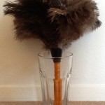 House Cleaning Tip Feather Duster