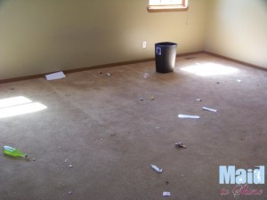 Master Bedroom Before Maid to Shine Deluxe Cleaning