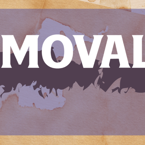 What We Leave After We Clean Explained Maid to Shine Your Best