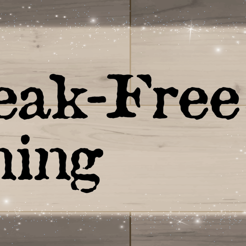 9 Ways To Detox Your Home and Improve Your Life Maid to Shine Your