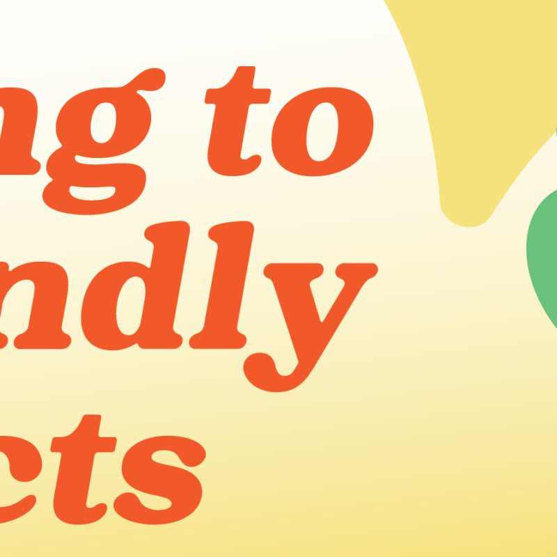 Find Out Who’s Hiring a Colorado Springs Maid Service Maid to Shine